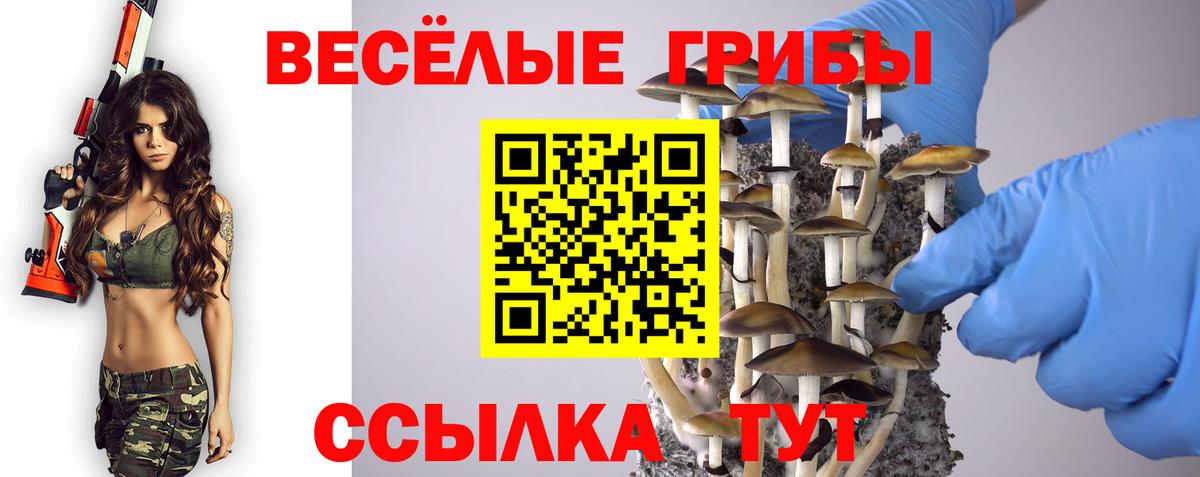 Галлюциногенные грибы мухоморы  купить наркотики сайты  Тула  Вход с VPN  Галлюциногенные грибы Magic Shrooms 